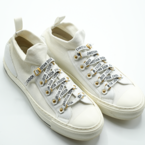 Dior sneaker